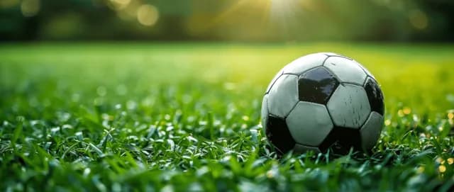Soccer ball resting on vivid green grass near a blurred park field background